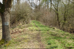 Przechwytywanie