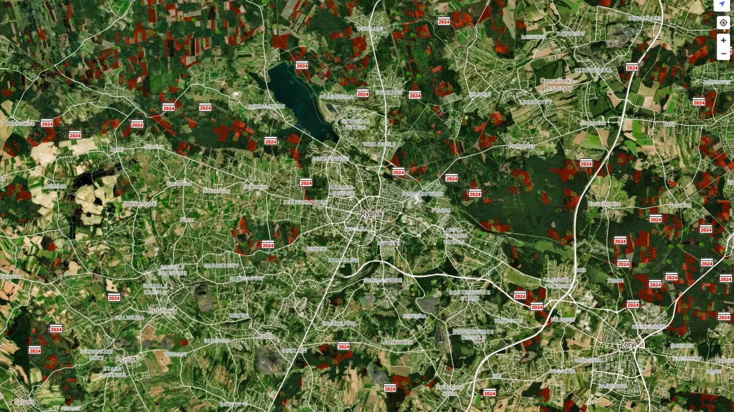 Lasy i Obywatele — Zanim wytną Twój las