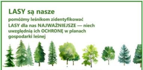AnkietaLasySąWażne