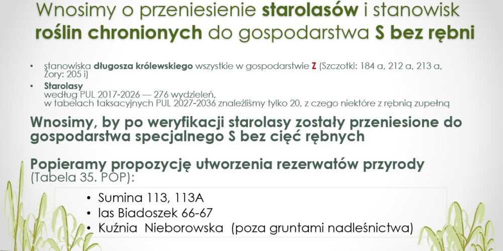 Slide11 Slide11
