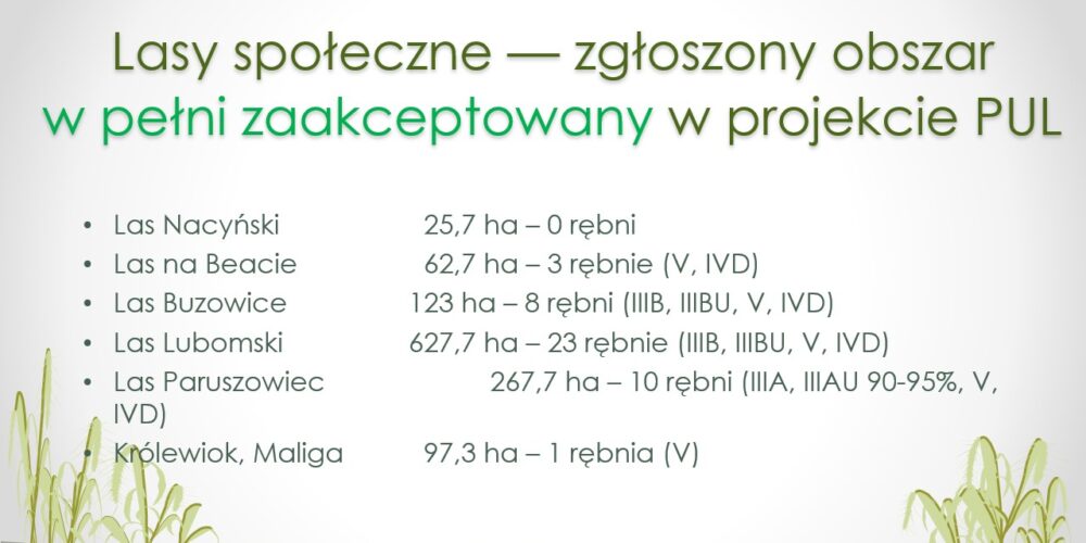 Slide6