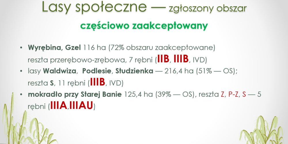 Slide7